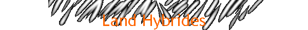 Land Hybrides