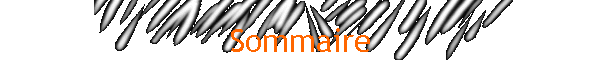 Sommaire